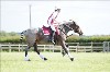UKPA NC SAT_2590